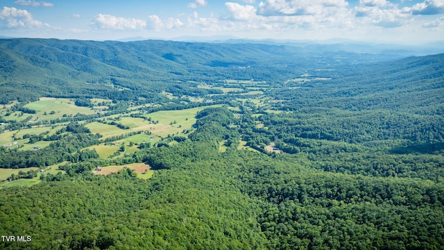 284 Bulldog Holw, Elizabethton, TN 37643 - bird's eye view of a heavily wooded area and a mountainous background