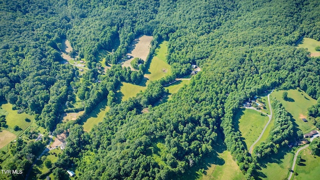 284 Bulldog Holw, Elizabethton, TN 37643 - drone / aerial view of a heavily wooded area