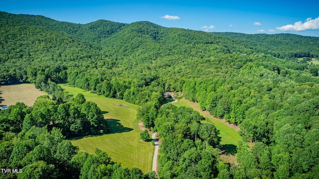 284 Bulldog Holw, Elizabethton, TN 37643 - aerial view of property's location featuring a heavily wooded area and mountains