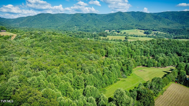 284 Bulldog Holw, Elizabethton, TN 37643 - aerial view of a heavily wooded area and a mountain backdrop