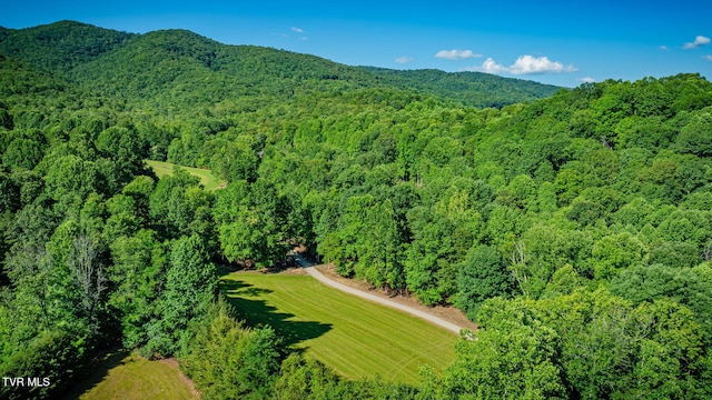 284 Bulldog Holw, Elizabethton, TN 37643 - aerial overview of property's location featuring a heavily wooded area and mountains