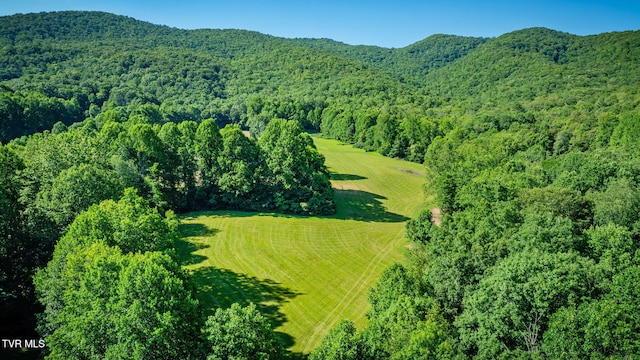 284 Bulldog Holw, Elizabethton, TN 37643 - aerial view of a heavily wooded area and a mountain backdrop
