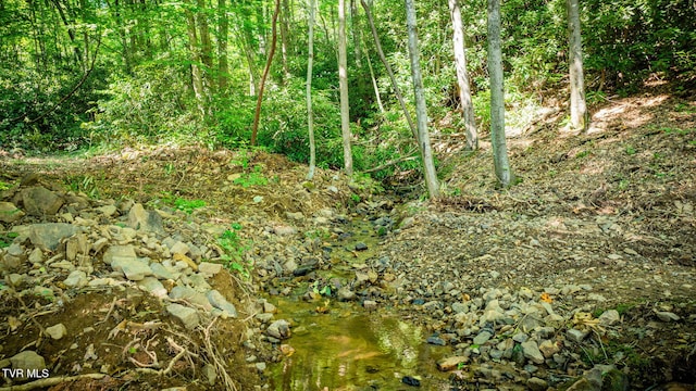 284 Bulldog Holw, Elizabethton, TN 37643 - view of nature
