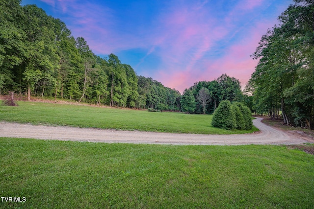 284 Bulldog Holw, Elizabethton, TN 37643 - surrounding community featuring a view of trees and a yard