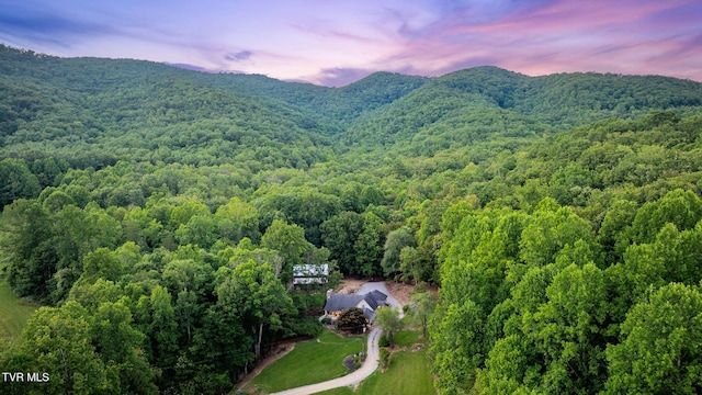 284 Bulldog Holw, Elizabethton, TN 37643 - aerial view at dusk of a view of trees and a mountain view