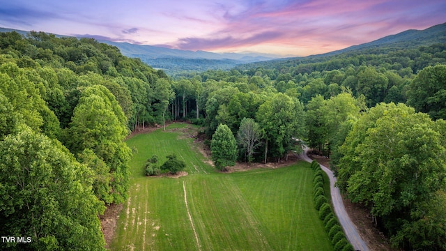284 Bulldog Holw, Elizabethton, TN 37643 - view of property location with a mountain backdrop and a forest