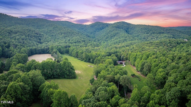 284 Bulldog Holw, Elizabethton, TN 37643 - aerial view of a heavily wooded area and a mountainous background