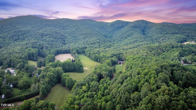 284 Bulldog Holw, Elizabethton, TN 37643 - drone / aerial view of a heavily wooded area and mountains