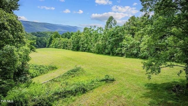 284 Bulldog Holw, Elizabethton, TN 37643 - photo 55