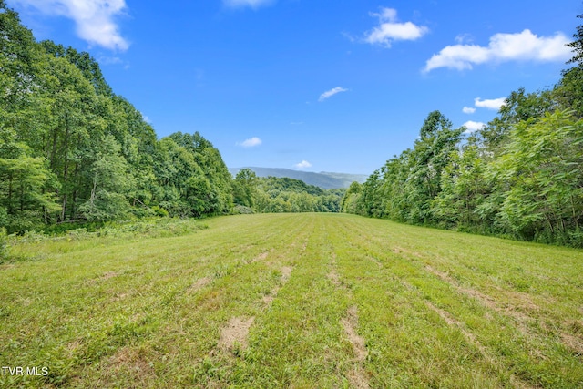 284 Bulldog Holw, Elizabethton, TN 37643 - photo 56
