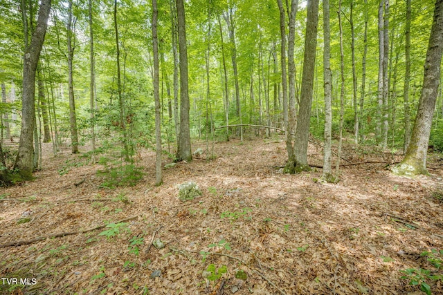 284 Bulldog Holw, Elizabethton, TN 37643 - photo 57