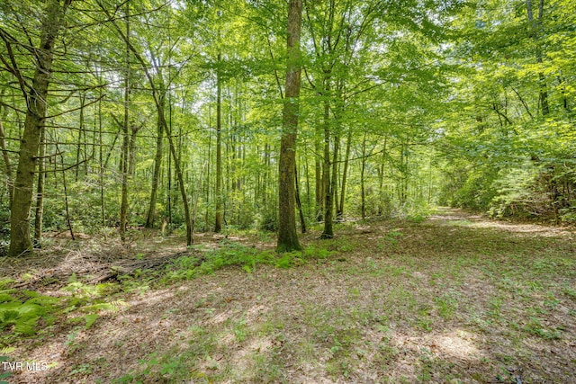 284 Bulldog Holw, Elizabethton, TN 37643 - photo 58