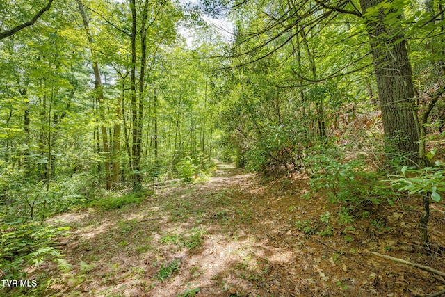 284 Bulldog Holw, Elizabethton, TN 37643 - photo 59