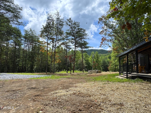 1014 Lightnen Rd, Parrottsville, TN 37843 - view of yard with a forest view