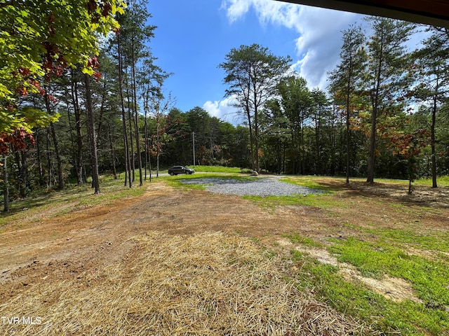 1014 Lightnen Rd, Parrottsville, TN 37843 - view of yard featuring a view of trees