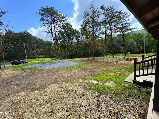 1014 Lightnen Rd, Parrottsville, TN 37843 - view of yard with a wooded view