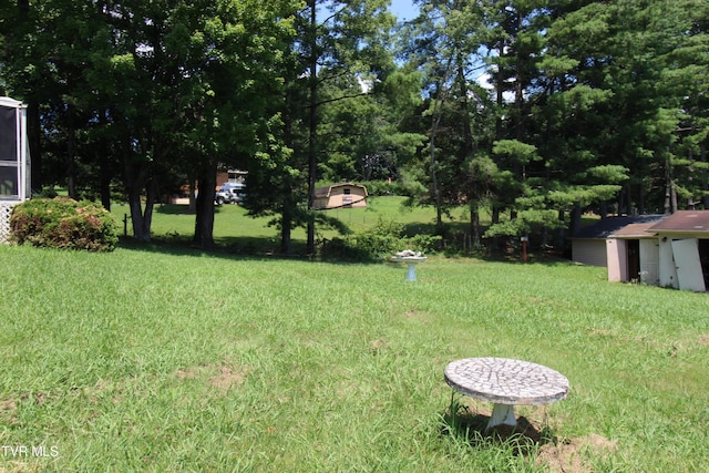 288 Hicks Rd, Piney Flats, TN 37686 - view of grassy yard