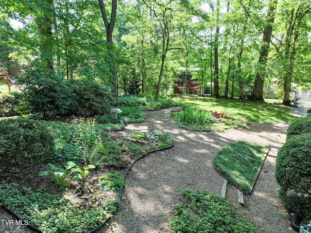 108 Alpine Cir, Greeneville, TN 37743 - photo 72