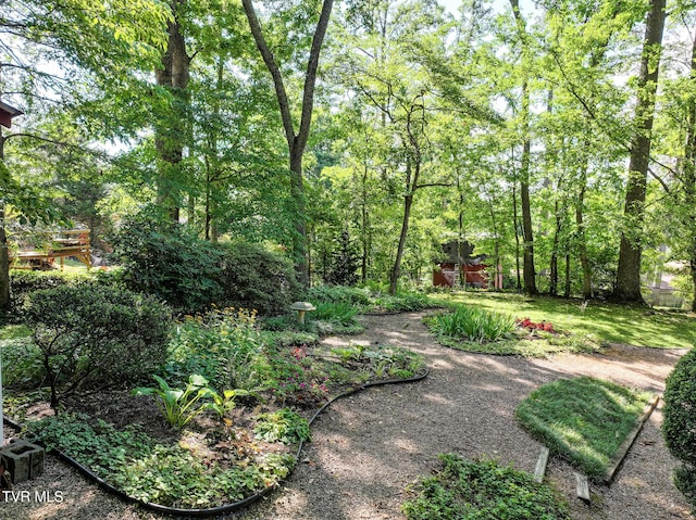 108 Alpine Cir, Greeneville, TN 37743 - photo 74