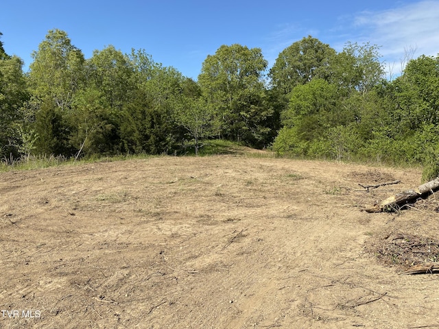 TBD Horseshoe Bend Rd Unit 6.88, Jonesborough, TN 37659 - photo 3