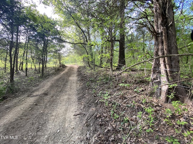 TBD Horseshoe Bend Rd Unit 6.88, Jonesborough, TN 37659 - photo 6