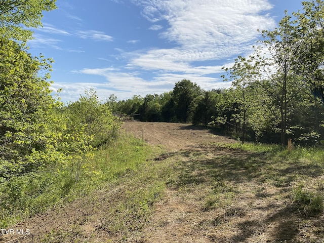 TBD Horseshoe Bend Rd Unit 6.88, Jonesborough, TN 37659 - photo 7