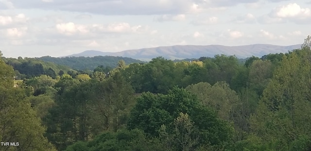 TBD Horseshoe Bend Rd Unit 6.88, Jonesborough, TN 37659 - photo 1