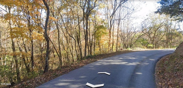 TBD Horseshoe Bend Rd Unit 6.88, Jonesborough, TN 37659 - photo 10
