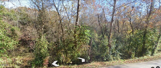 TBD Horseshoe Bend Rd Unit 6.88, Jonesborough, TN 37659 - photo 11
