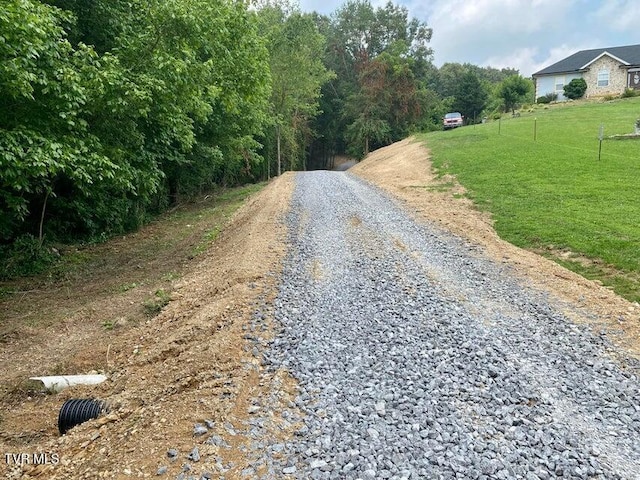 TBD Horseshoe Bend Rd Unit 6.88, Jonesborough, TN 37659 - photo 12