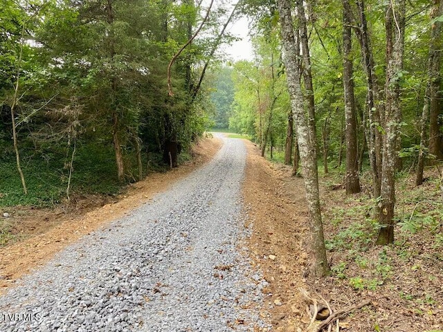 TBD Horseshoe Bend Rd Unit 6.88, Jonesborough, TN 37659 - photo 16