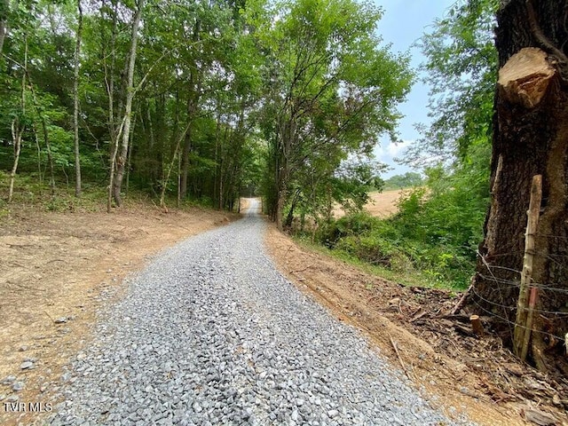 TBD Horseshoe Bend Rd Unit 6.88, Jonesborough, TN 37659 - photo 14