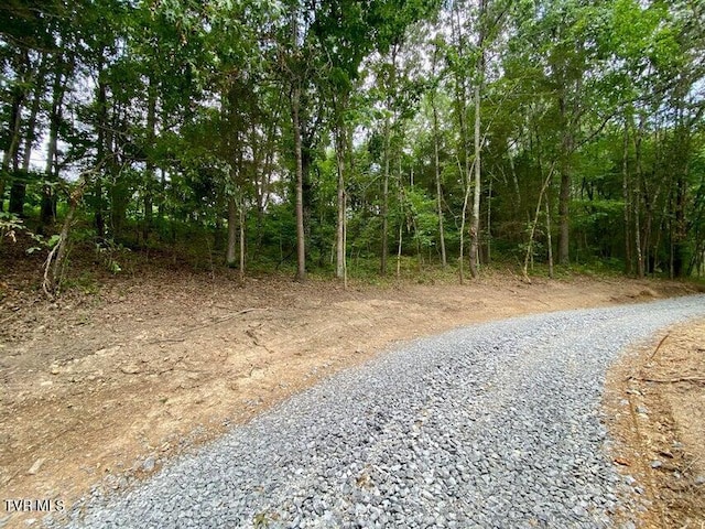 TBD Horseshoe Bend Rd Unit 6.88, Jonesborough, TN 37659 - photo 15