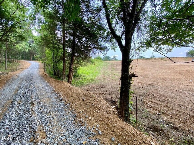 TBD Horseshoe Bend Rd Unit 6.88, Jonesborough, TN 37659 - photo 13