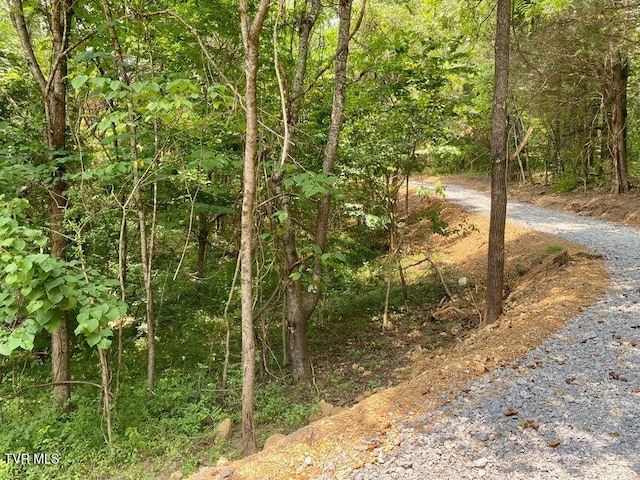 TBD Horseshoe Bend Rd Unit 6.88, Jonesborough, TN 37659 - photo 18