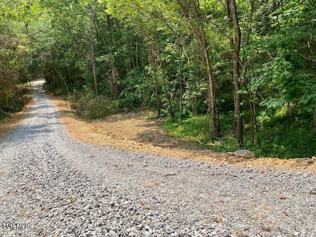 TBD Horseshoe Bend Rd Unit 6.88, Jonesborough, TN 37659 - photo 19