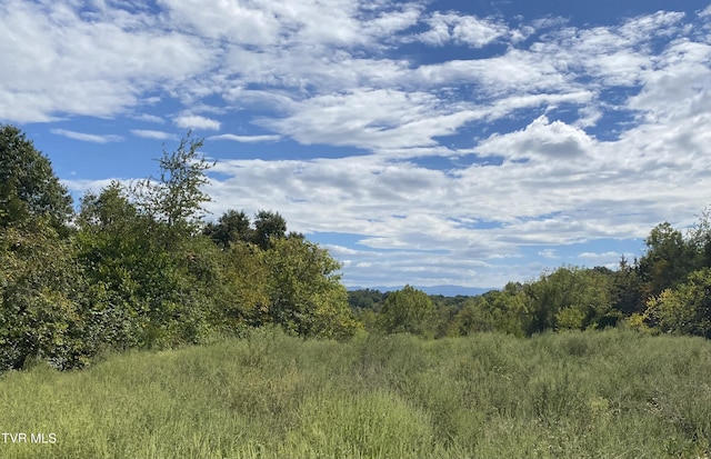 TBD Horseshoe Bend Rd Unit 6.88, Jonesborough, TN 37659 - photo 21