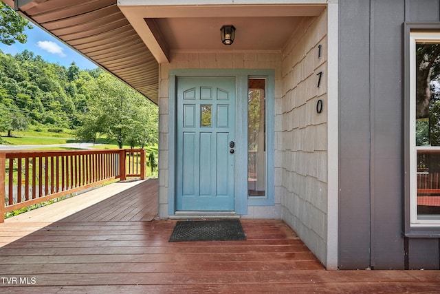 170 Diana Ave, Erwin, TN 37650 - photo 8