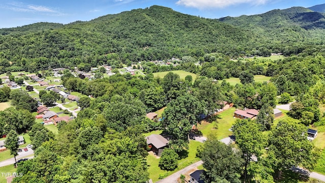 170 Diana Ave, Erwin, TN 37650 - photo 49