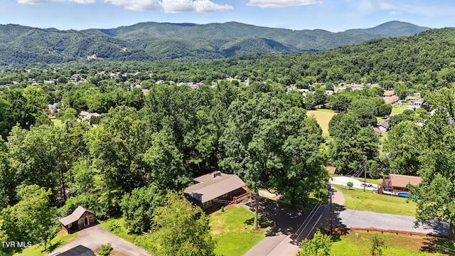 170 Diana Ave, Erwin, TN 37650 - photo 51
