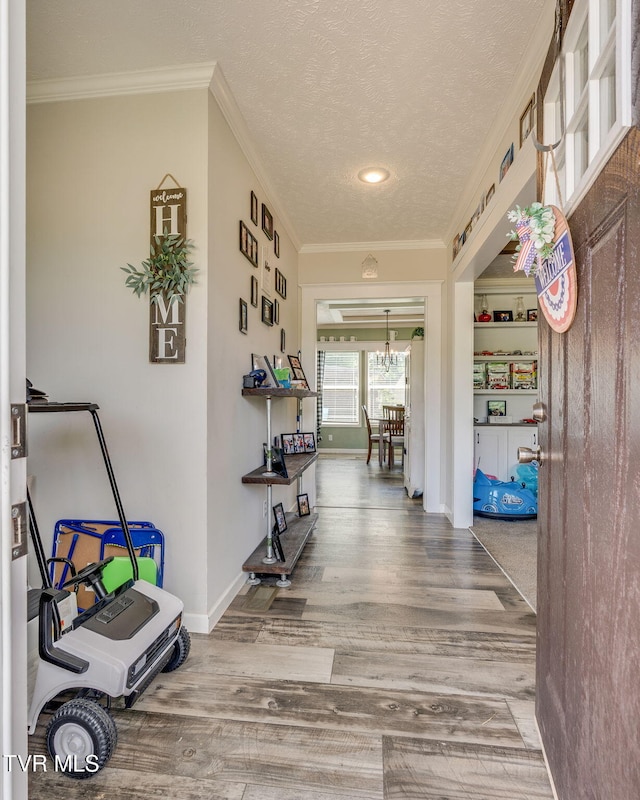 245 Holston View Dr, Rogersville, TN 37857 - photo 5