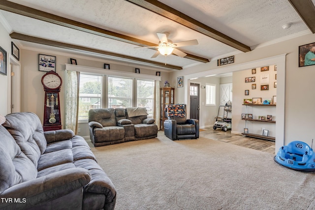 245 Holston View Dr, Rogersville, TN 37857 - photo 9