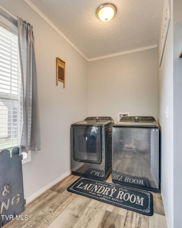 245 Holston View Dr, Rogersville, TN 37857 - photo 27