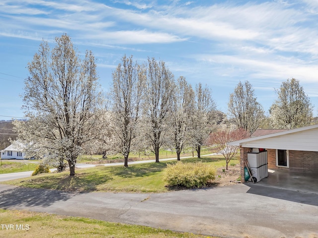 473 Oak Grove Rd, Gray, TN 37615 - view of grassy yard featuring a carport