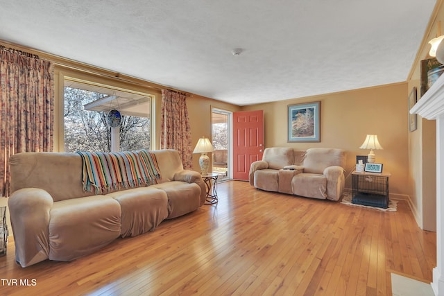 473 Oak Grove Rd, Gray, TN 37615 - living area featuring light wood-style flooring and a textured ceiling