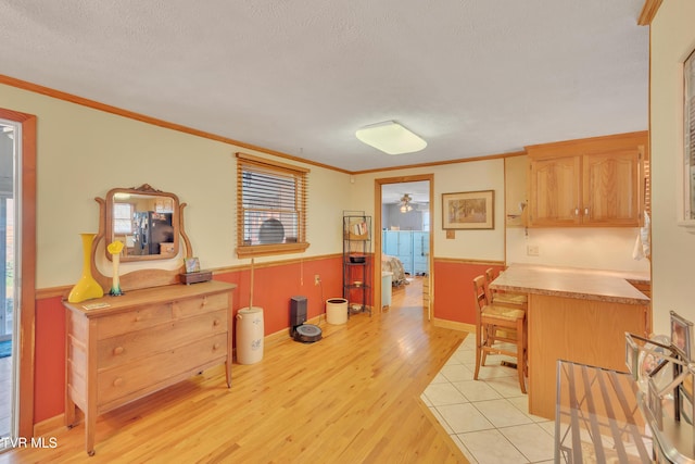 473 Oak Grove Rd, Gray, TN 37615 - kitchen with light wood-style floors, a wainscoted wall, crown molding, a textured ceiling, and ceiling fan