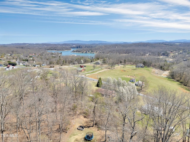 473 Oak Grove Rd, Gray, TN 37615 - drone / aerial view of a water and mountain view