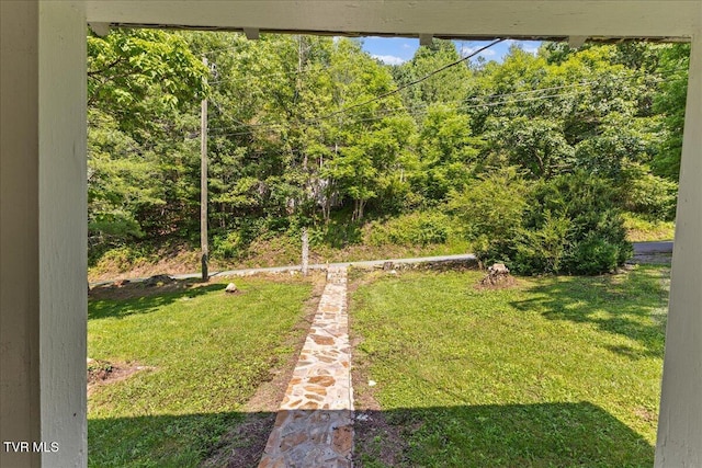 591 Whaley Town Rd, Butler, TN 37640 - photo 8