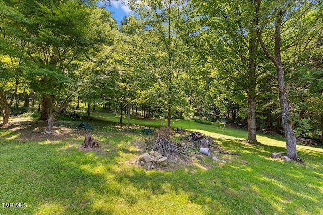 591 Whaley Town Rd, Butler, TN 37640 - photo 10