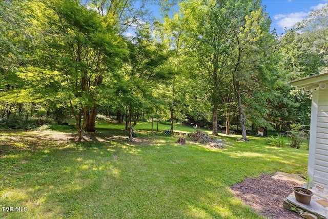 591 Whaley Town Rd, Butler, TN 37640 - photo 13